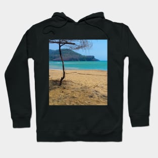 White sand beach with pine tree trunks and mountain in backround Hoodie